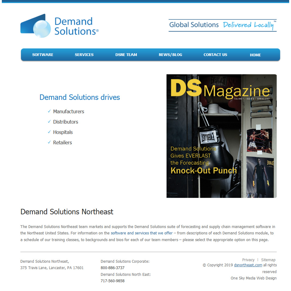 Demand Solutions North East - demand forecasting website design